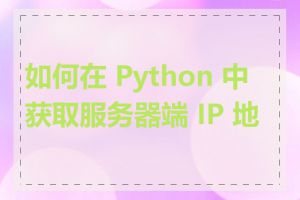 如何在 Python 中获取服务器端 IP 地址