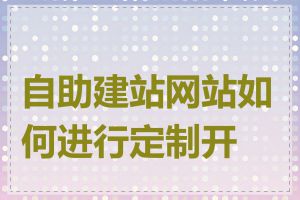 自助建站网站如何进行定制开发