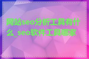 网站seo分析工具有什么_seo软件工具哪家好