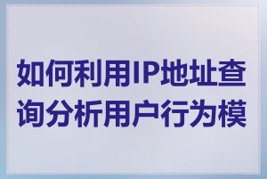 如何利用IP地址查询分析用户行为模式