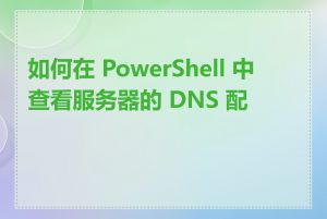 如何在 PowerShell 中查看服务器的 DNS 配置