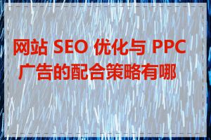 网站 SEO 优化与 PPC 广告的配合策略有哪些