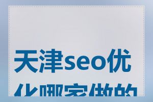 天津seo优化哪家做的好