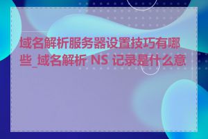 域名解析服务器设置技巧有哪些_域名解析 NS 记录是什么意思