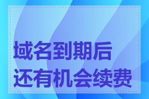 域名到期后还有机会续费吗