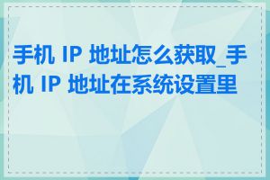 手机 IP 地址怎么获取_手机 IP 地址在系统设置里吗