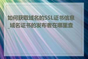 如何获取域名的SSL证书信息_域名证书的发布者在哪里查看