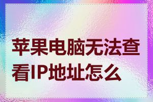 苹果电脑无法查看IP地址怎么办