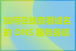 如何在线查看域名的 DNS 服务器信息