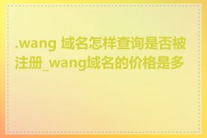 .wang 域名怎样查询是否被注册_wang域名的价格是多少