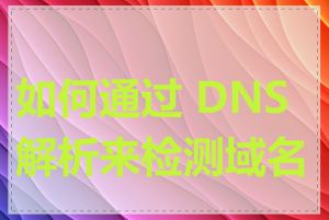 如何通过 DNS 解析来检测域名墙