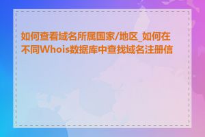 如何查看域名所属国家/地区_如何在不同Whois数据库中查找域名注册信息