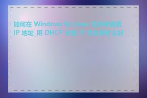 如何在 Windows 和 Linux 系统中查看 IP 地址_用 DHCP 分配 IP 地址有什么好处