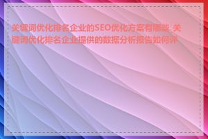 关键词优化排名企业的SEO优化方案有哪些_关键词优化排名企业提供的数据分析报告如何评判