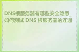 DNS根服务器有哪些安全隐患_如何测试 DNS 根服务器的连通性