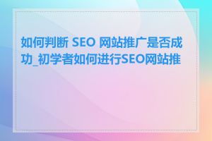 如何判断 SEO 网站推广是否成功_初学者如何进行SEO网站推广