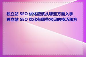 独立站 SEO 优化应该从哪些方面入手_独立站 SEO 优化有哪些常见的技巧和方法