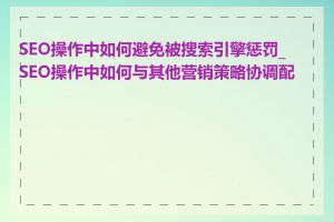 SEO操作中如何避免被搜索引擎惩罚_SEO操作中如何与其他营销策略协调配合