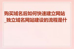 购买域名后如何快速建立网站_独立域名网站建设的流程是什么