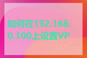 如何在192.168.0.100上设置VPN