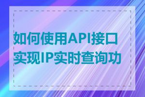 如何使用API接口实现IP实时查询功能