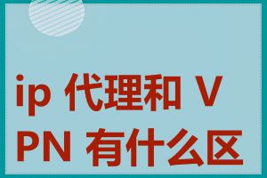 ip 代理和 VPN 有什么区别