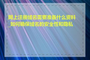 网上注册域名需要准备什么资料_如何确保域名的安全性和隐私性