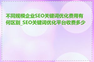 不同规模企业SEO关键词优化费用有何区别_SEO关键词优化平台收费多少钱