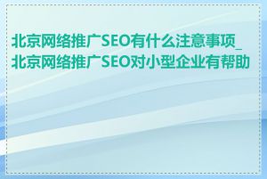 北京网络推广SEO有什么注意事项_北京网络推广SEO对小型企业有帮助吗