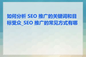 如何分析 SEO 推广的关键词和目标受众_SEO 推广的常见方式有哪些