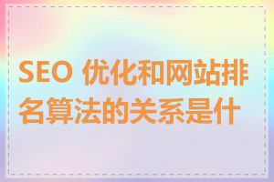 SEO 优化和网站排名算法的关系是什么