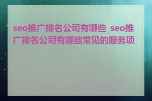 seo推广排名公司有哪些_seo推广排名公司有哪些常见的服务项目