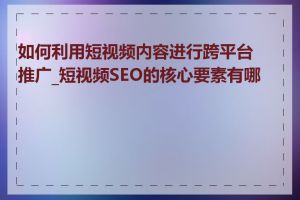 如何利用短视频内容进行跨平台推广_短视频SEO的核心要素有哪些