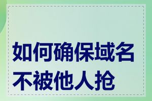 如何确保域名不被他人抢注