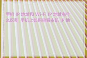 手机 IP 地址和 Wi-Fi IP 地址有什么区别_手机上如何查看本机 IP 地址