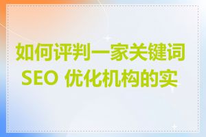 如何评判一家关键词 SEO 优化机构的实力