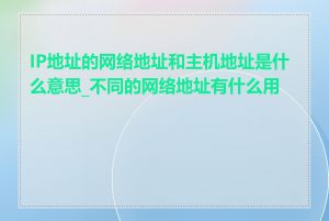 IP地址的网络地址和主机地址是什么意思_不同的网络地址有什么用途