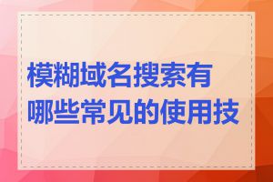 模糊域名搜索有哪些常见的使用技巧