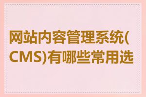 网站内容管理系统(CMS)有哪些常用选择