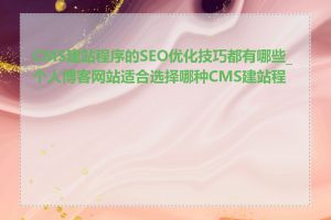 CMS建站程序的SEO优化技巧都有哪些_个人博客网站适合选择哪种CMS建站程序