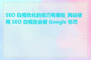 SEO 白帽优化的技巧有哪些_网站使用 SEO 白帽后会被 Google 惩罚吗