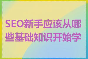 SEO新手应该从哪些基础知识开始学习