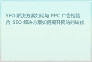 SEO 解决方案如何与 PPC 广告相结合_SEO 解决方案如何提升网站的转化率