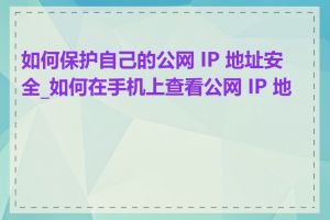 如何保护自己的公网 IP 地址安全_如何在手机上查看公网 IP 地址