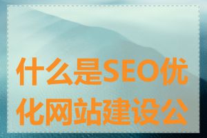 什么是SEO优化网站建设公司