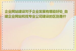 企业网站建设对于企业发展有哪些好处_自建企业网站和找专业公司建设的区别是什么