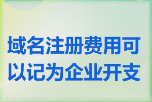 域名注册费用可以记为企业开支吗