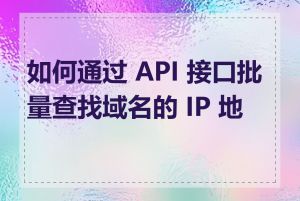 如何通过 API 接口批量查找域名的 IP 地址