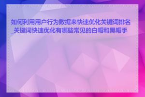 如何利用用户行为数据来快速优化关键词排名_关键词快速优化有哪些常见的白帽和黑帽手段