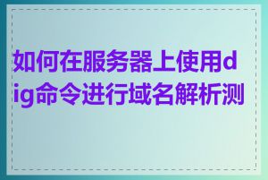 如何在服务器上使用dig命令进行域名解析测试